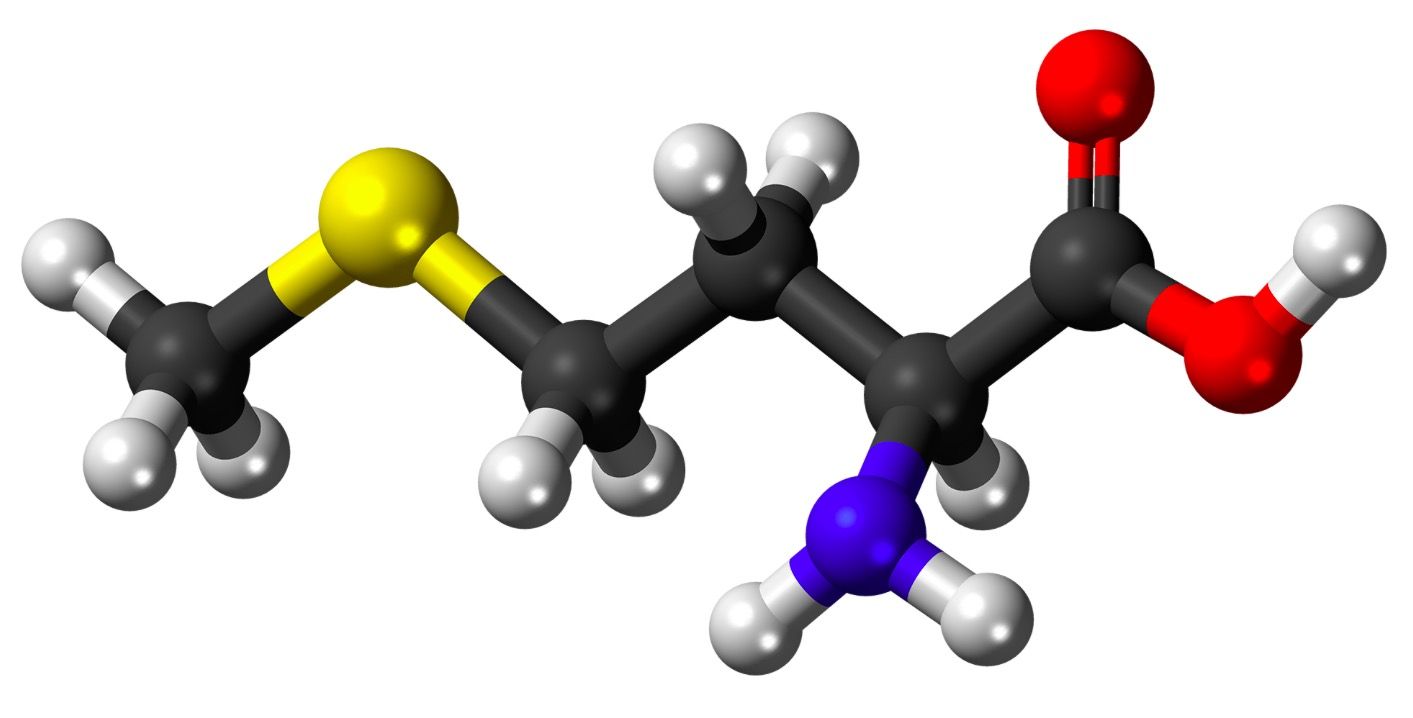 Does L-Methionine Have Health Benefits? 12 Scientific Papers Reviewed