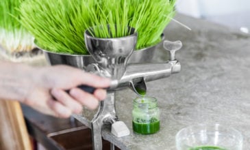 HBS review of the best wheatgrass juicers