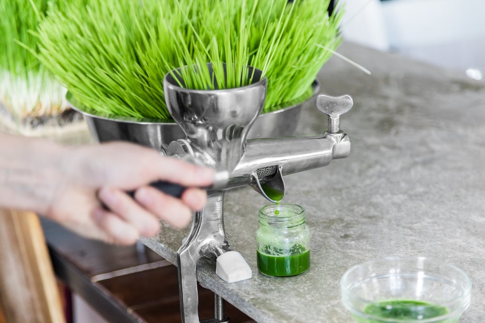 We’re Doin’ Shots! The 5 Best Wheatgrass Juicers Today